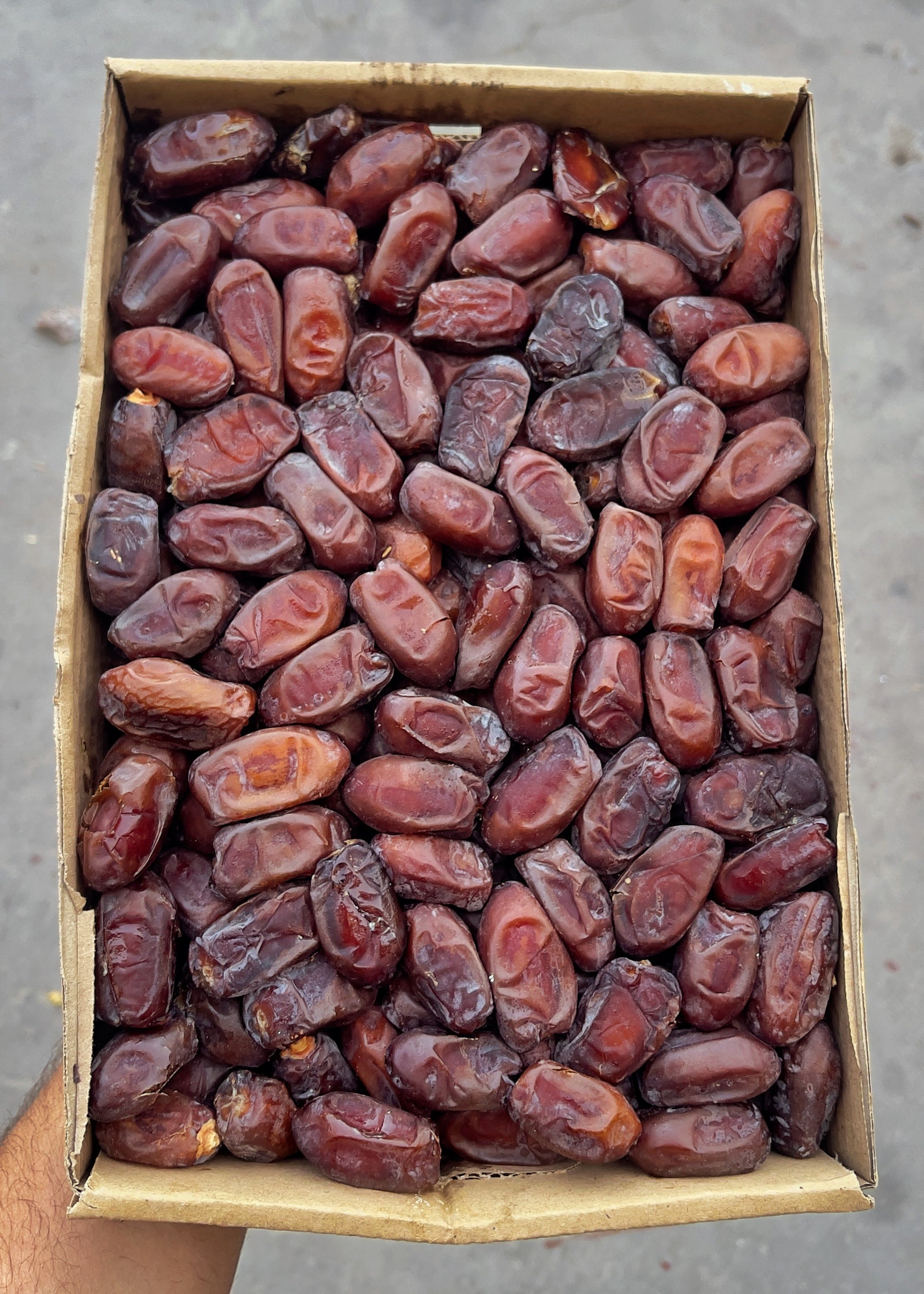 رطب خضري المدينة المنورة ٣ كيلو